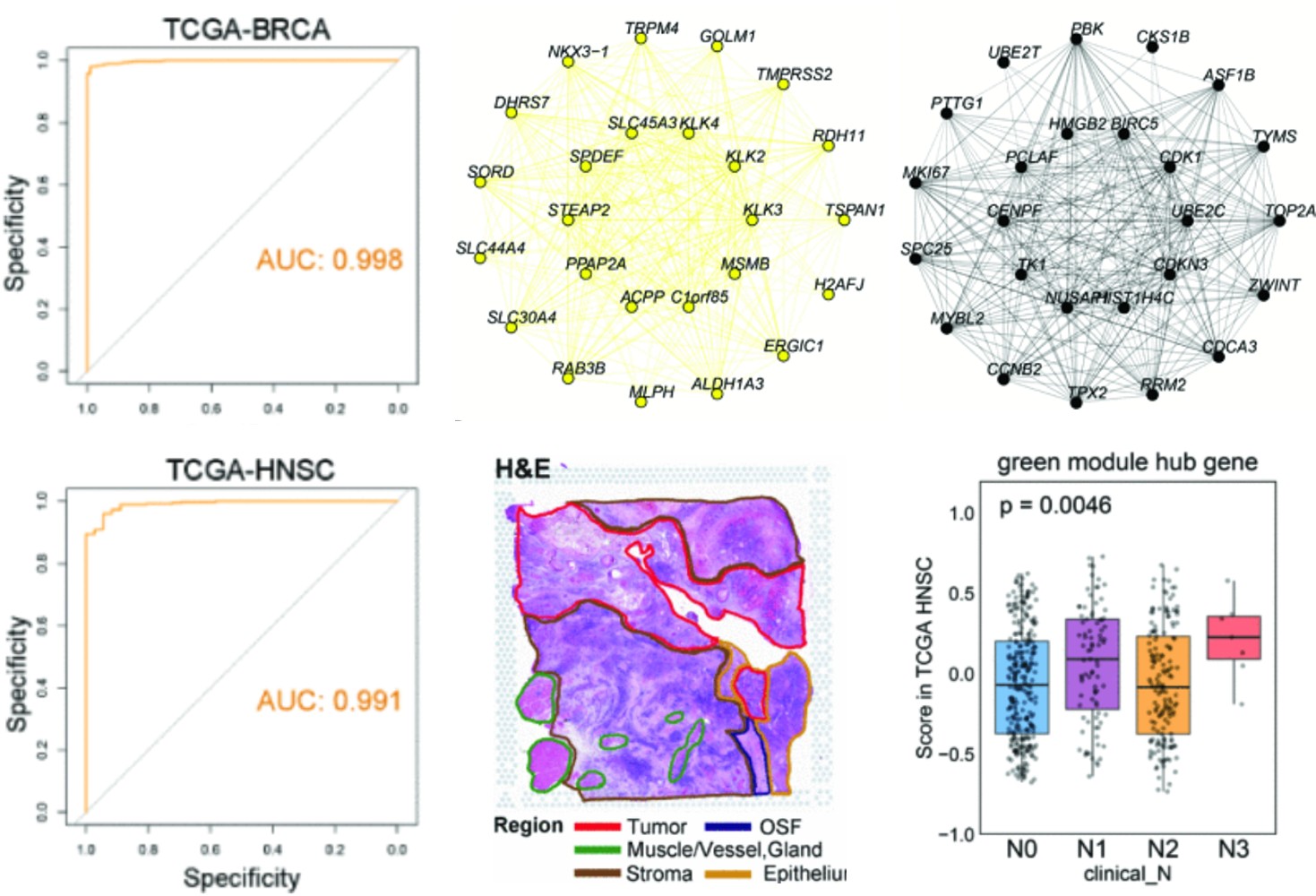 Pan-cancer Single Cell Atlas Reveals Tumor Hallmark Gene Modules and Their Clinical Relevance