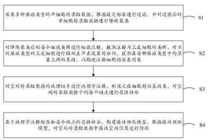 一种识别癌灶的方法、装置、设备及存储介质